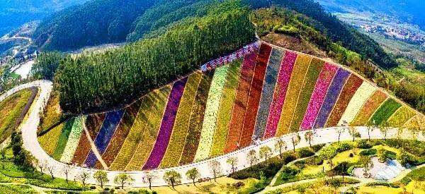 诏安富硒水果特产批发（诏安富硒检测中心）-硒宝网