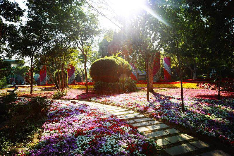 诏安富硒水果特产批发（诏安富硒检测中心）-硒宝网