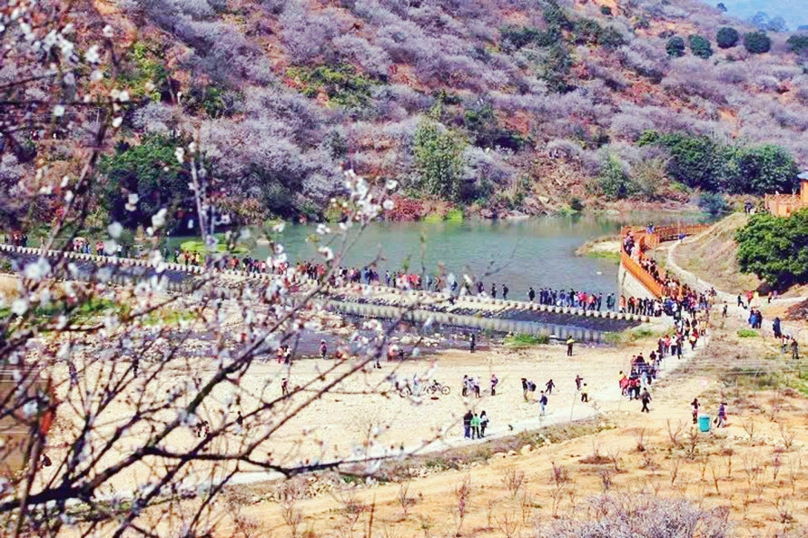 诏安富硒水果特产批发（诏安富硒检测中心）-硒宝网