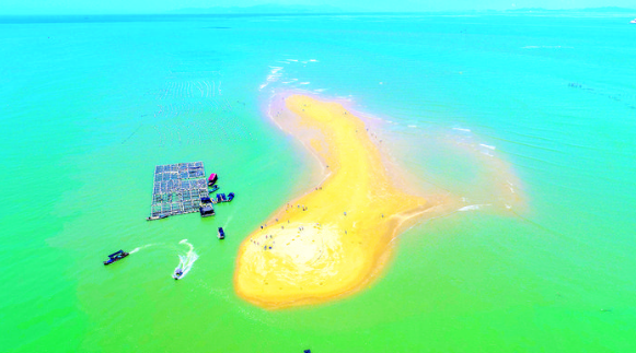 诏安富硒水果特产批发（诏安富硒检测中心）-硒宝网