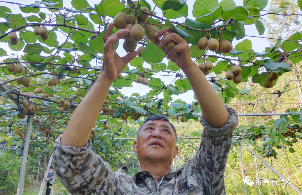 水果含硒量多少算富硒（水果含硒排名一览表）-硒宝网