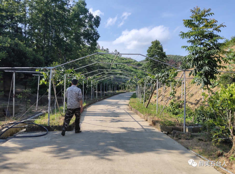 水果含硒量多少算富硒（水果含硒排名一览表）-硒宝网