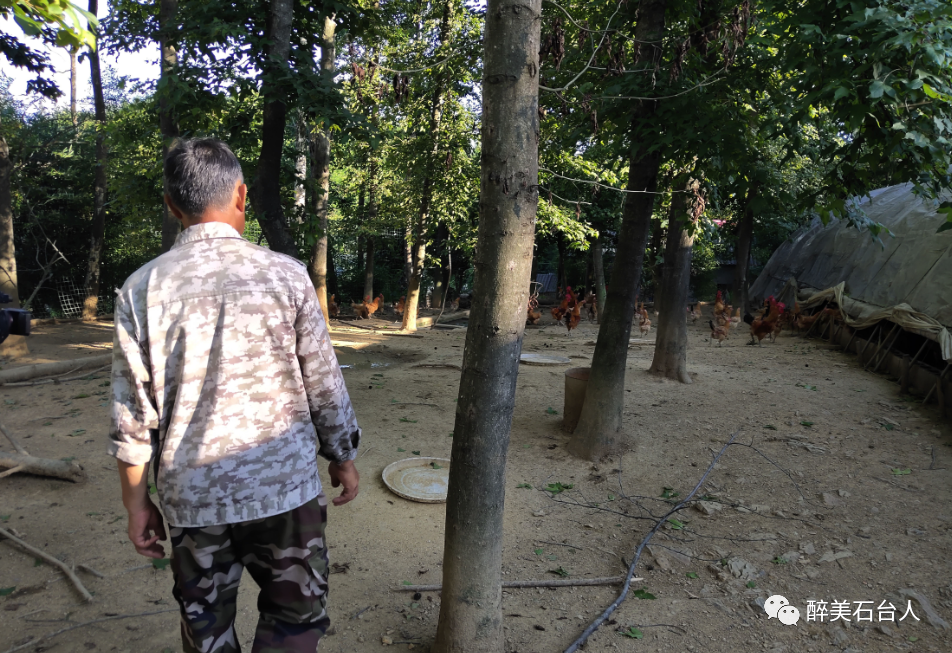 水果含硒量多少算富硒（水果含硒排名一览表）-硒宝网