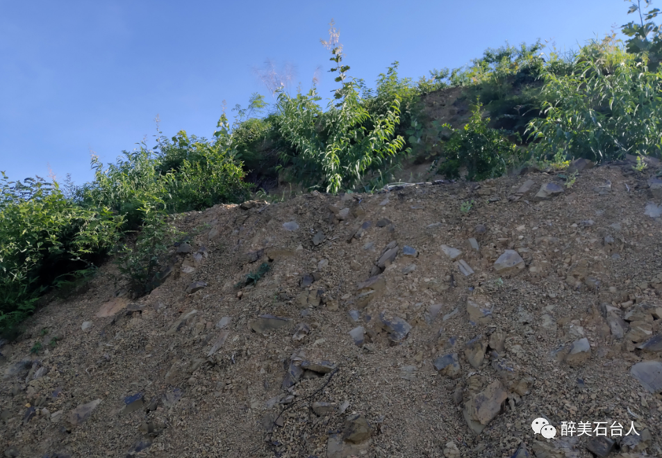 水果含硒量多少算富硒（水果含硒排名一览表）-硒宝网