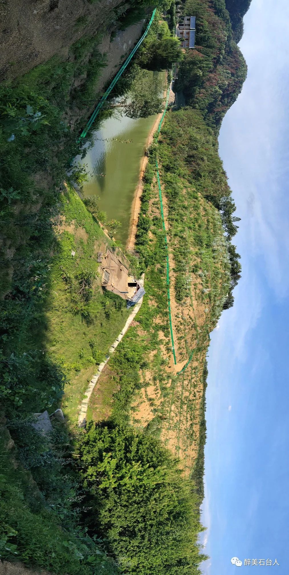 水果含硒量多少算富硒（水果含硒排名一览表）-硒宝网