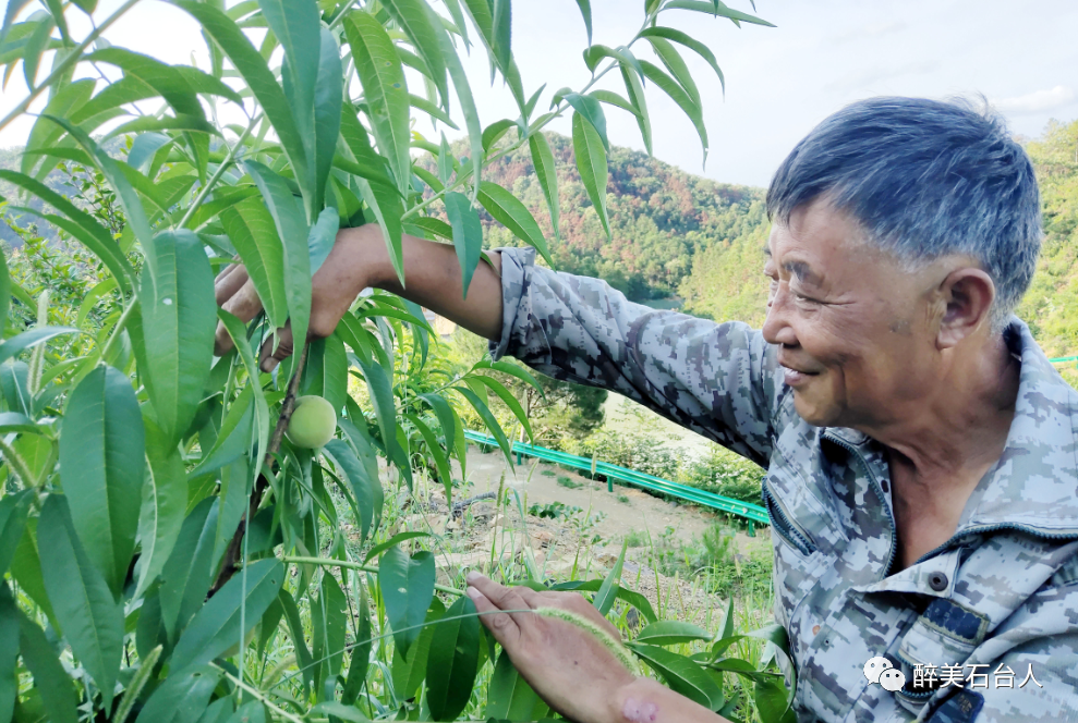 水果含硒量多少算富硒（水果含硒排名一览表）-硒宝网