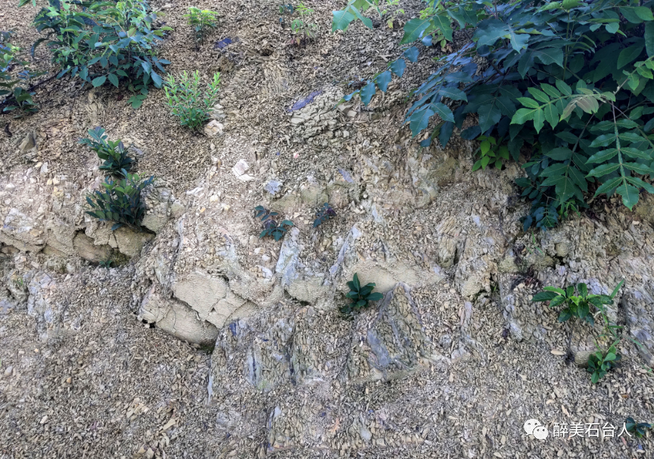 水果含硒量多少算富硒（水果含硒排名一览表）-硒宝网