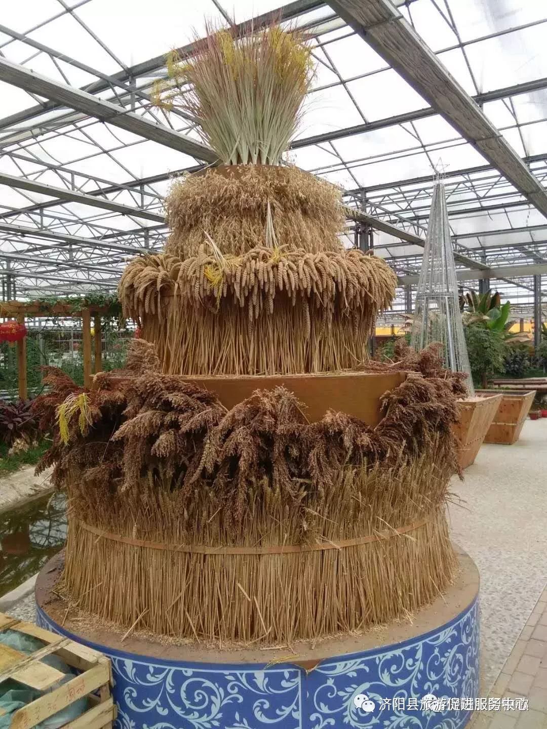 济南富硒水果采摘价格（济南采摘蔬菜）-硒宝网