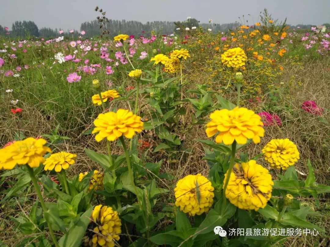 济南富硒水果采摘价格（济南采摘蔬菜）-硒宝网