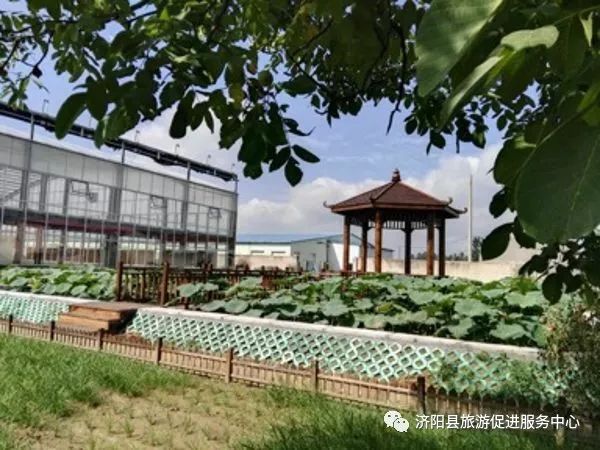 济南富硒水果采摘价格（济南采摘蔬菜）-硒宝网