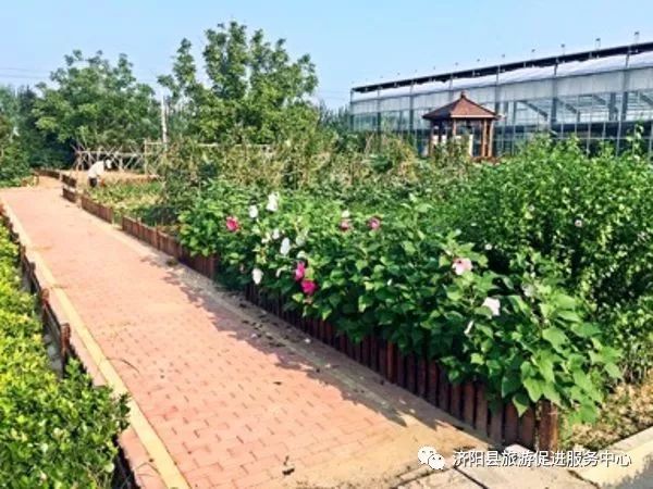 济南富硒水果采摘价格（济南采摘蔬菜）-硒宝网