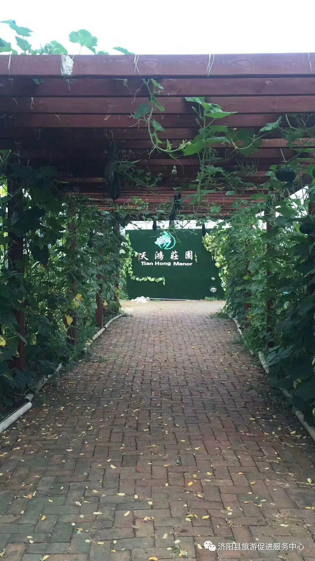 济南富硒水果采摘价格（济南采摘蔬菜）-硒宝网