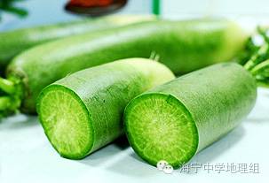 潍县富硒水果萝卜产地(萝卜产区)-硒宝网