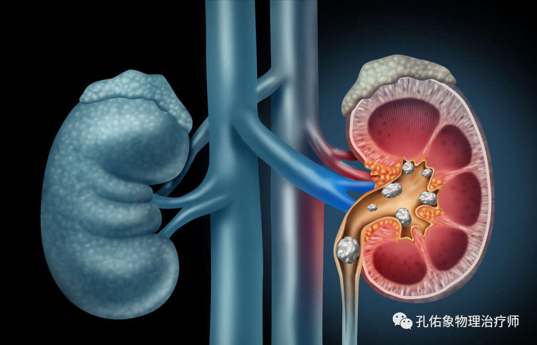 50岁补钙吃什么钙片好(补钙吃钙片好还是口服液好)-硒宝网