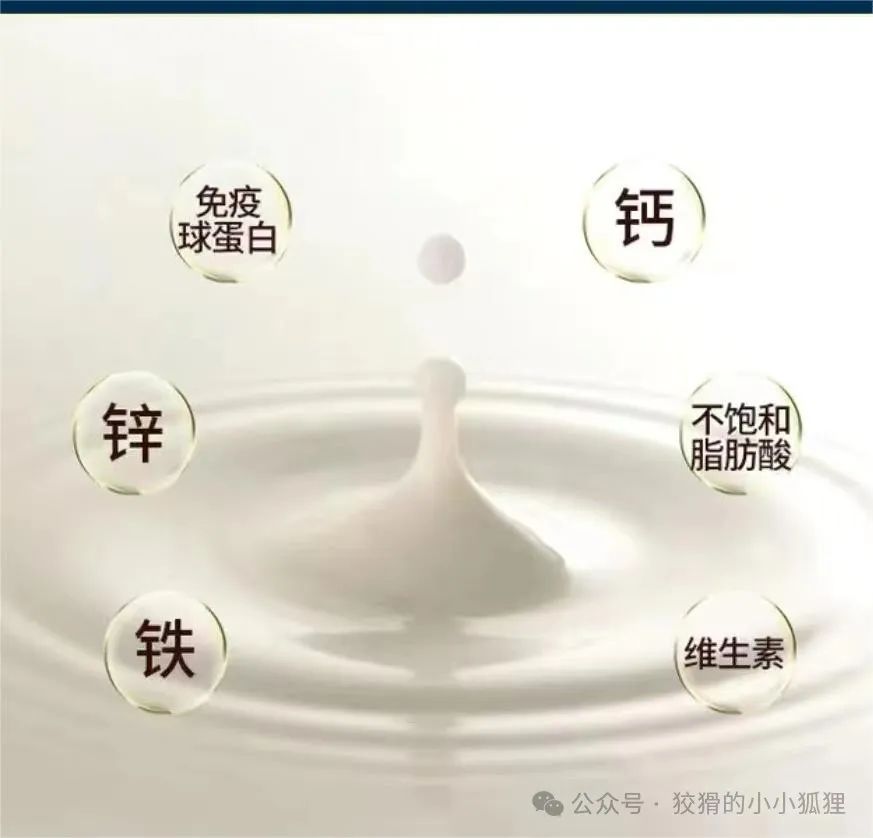 什么东西补钙最好(补钙的东西有啥)-硒宝网