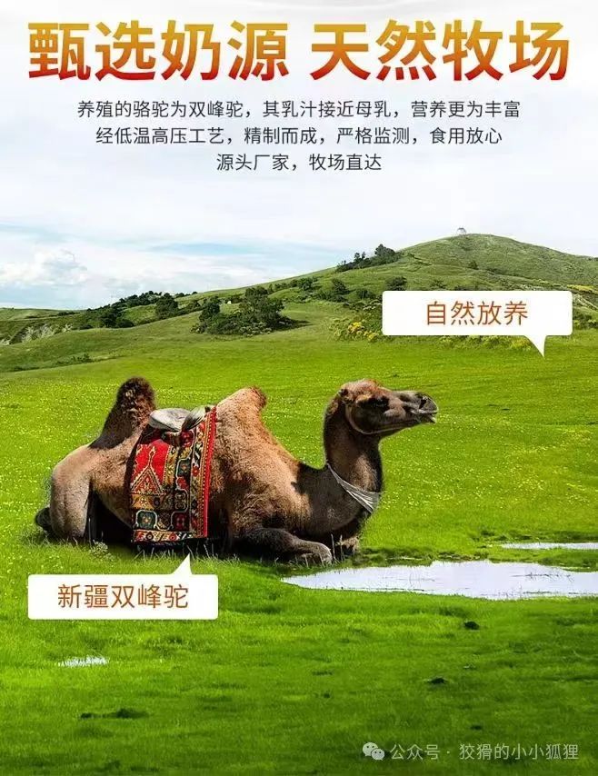 什么东西补钙最好(补钙的东西有啥)-硒宝网