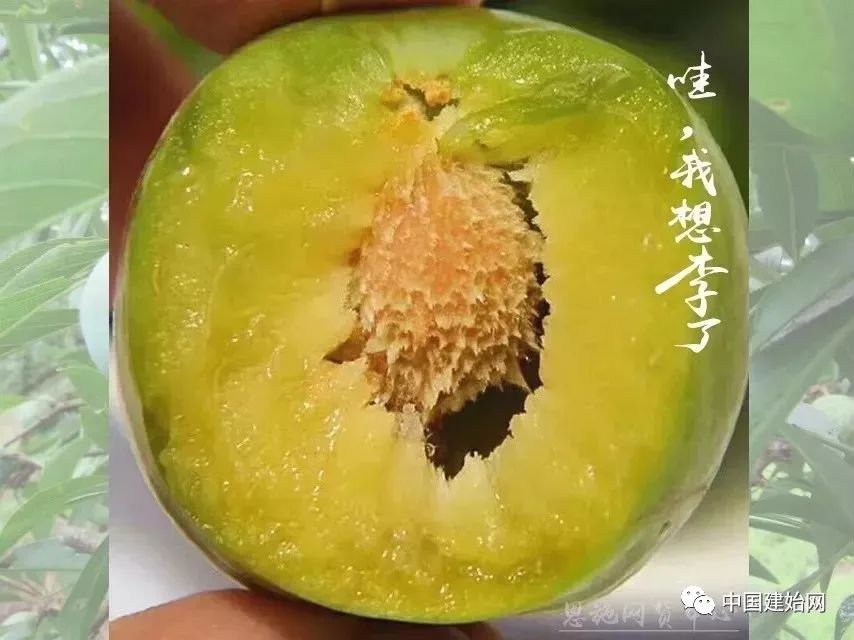 什么水果属于富硒果子（果子水果属于富硒食品吗）-硒宝网