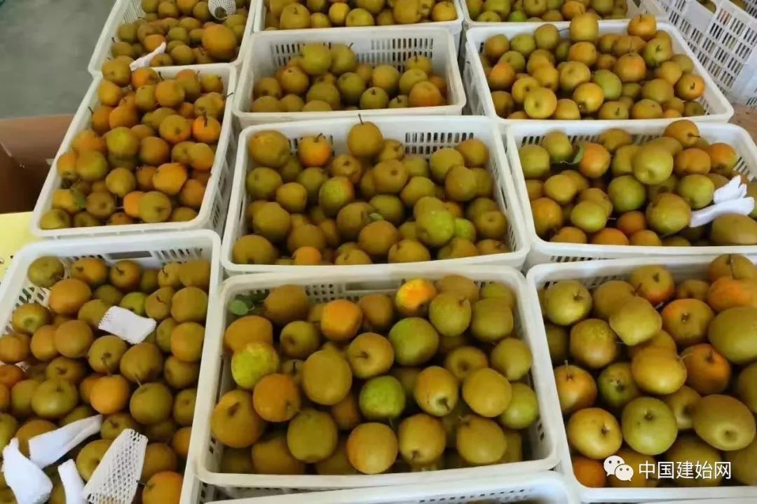 什么水果属于富硒果子（果子水果属于富硒食品吗）-硒宝网