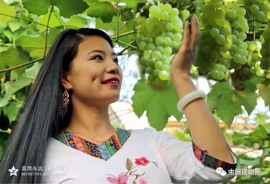 什么水果属于富硒果子（果子水果属于富硒食品吗）-硒宝网