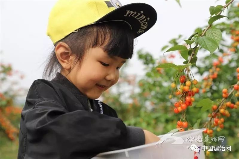 什么水果属于富硒果子（果子水果属于富硒食品吗）-硒宝网