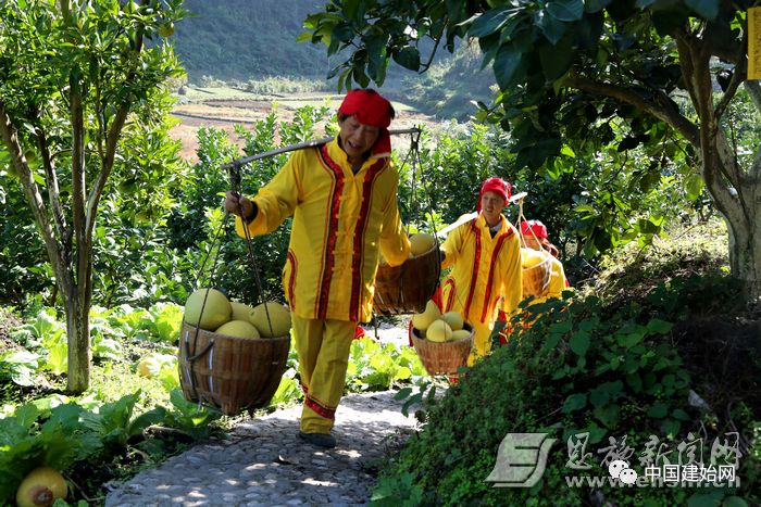 什么水果属于富硒果子（果子水果属于富硒食品吗）-硒宝网