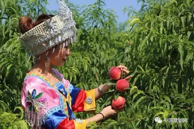 什么水果属于富硒果子（果子水果属于富硒食品吗）-硒宝网