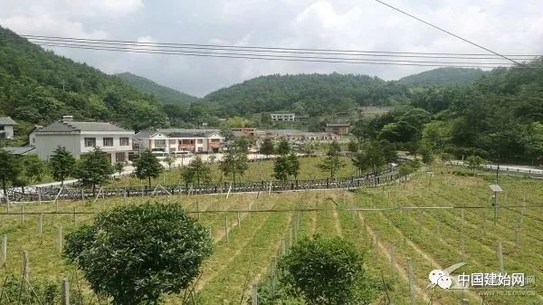 什么水果属于富硒果子（果子水果属于富硒食品吗）-硒宝网