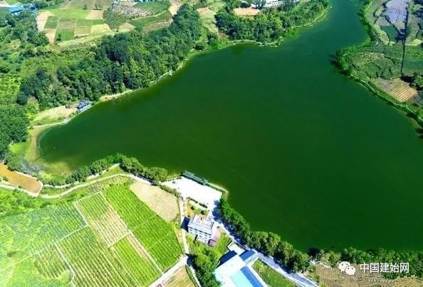 什么水果属于富硒果子（果子水果属于富硒食品吗）-硒宝网