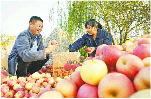 淄博富硒水果种植基地（淄博水果价格）-硒宝网