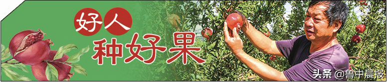 淄博富硒水果种植基地(淄博盛产水果)-硒宝网