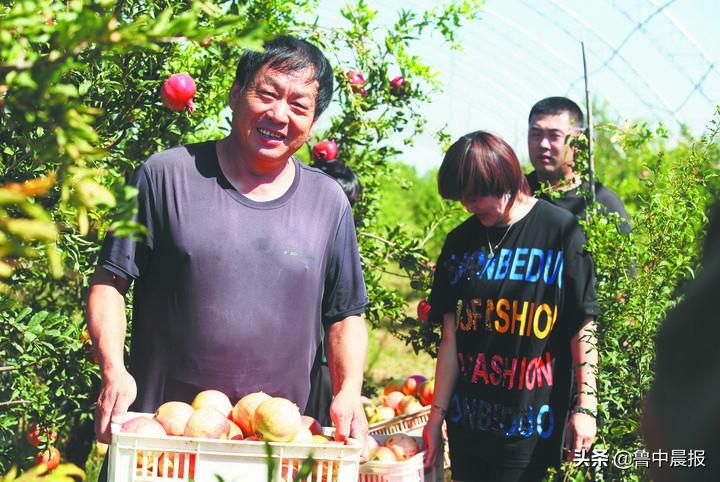 淄博富硒水果种植基地(淄博盛产水果)-硒宝网