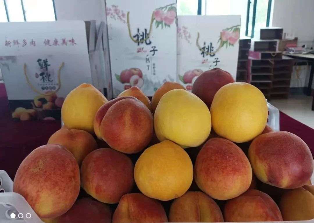 什么水果属于富硒果子（果子水果属于富硒食物吗）-硒宝网