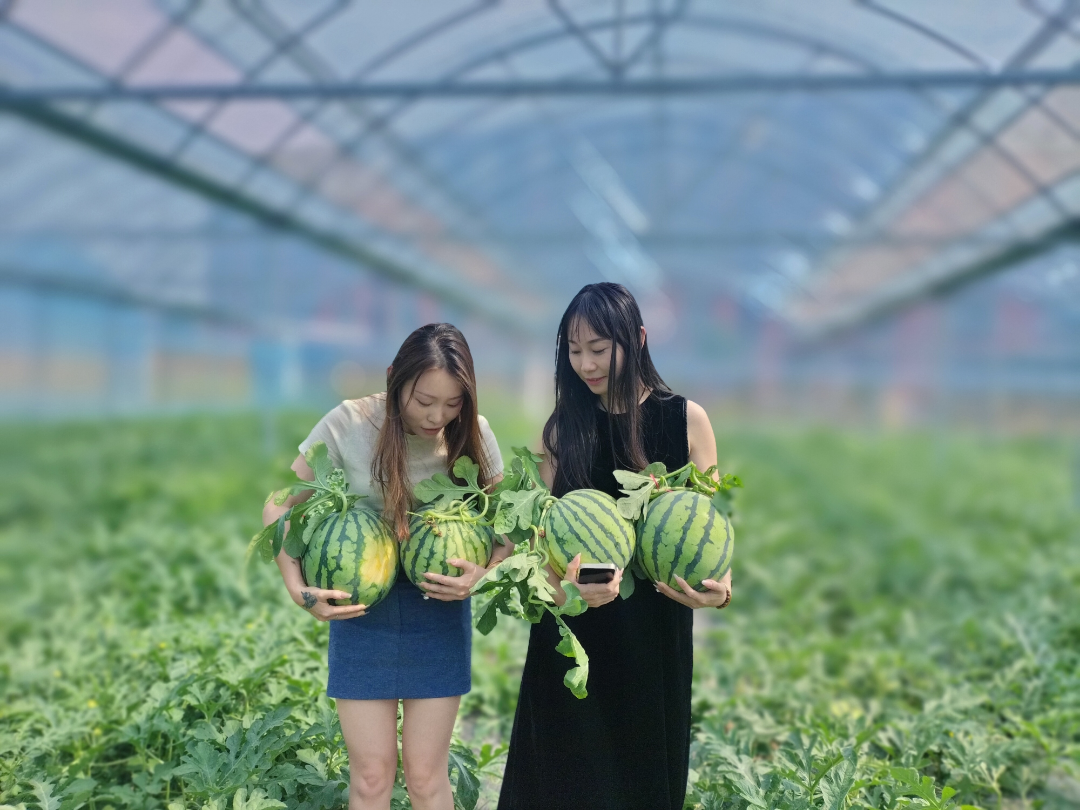 什么水果属于富硒果子（果子水果属于富硒食物吗）-硒宝网