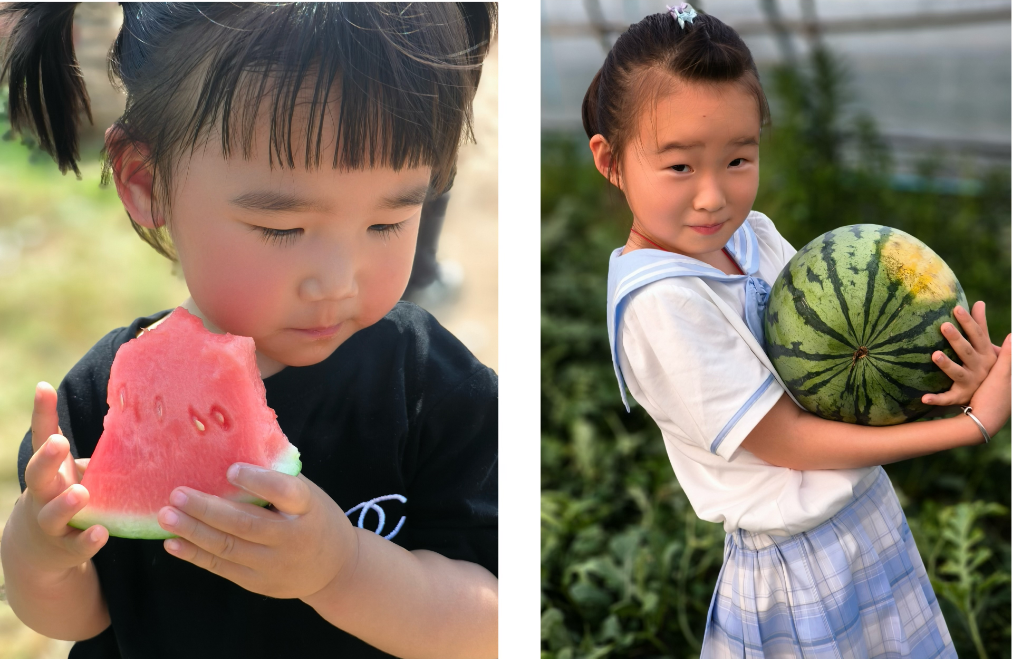 什么水果属于富硒果子（果子水果属于富硒食物吗）-硒宝网