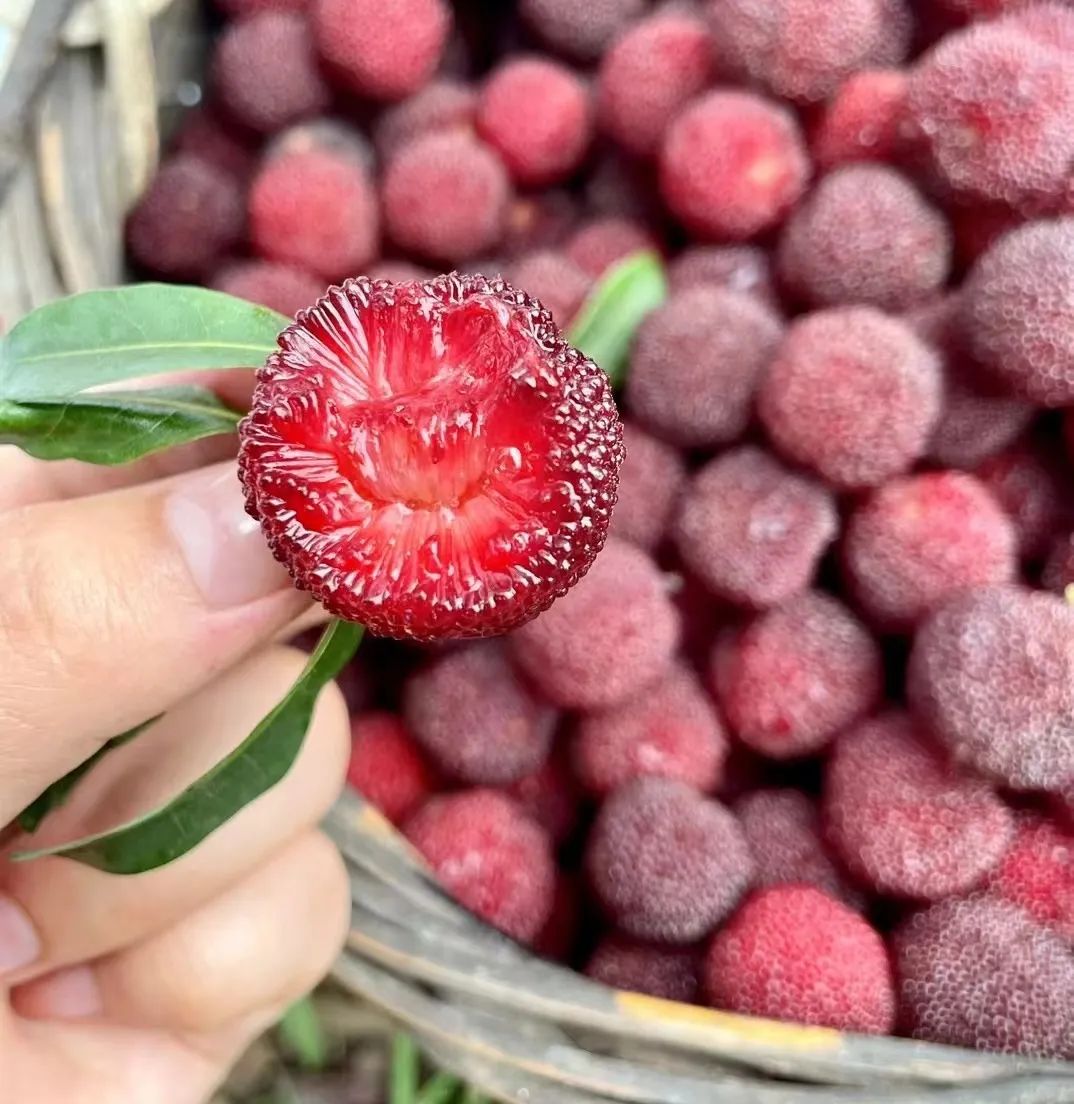 什么水果属于富硒果子（果子水果属于富硒食物吗）-硒宝网