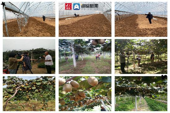 潍坊富硒水果种植基地(潍坊水果采摘园)-硒宝网