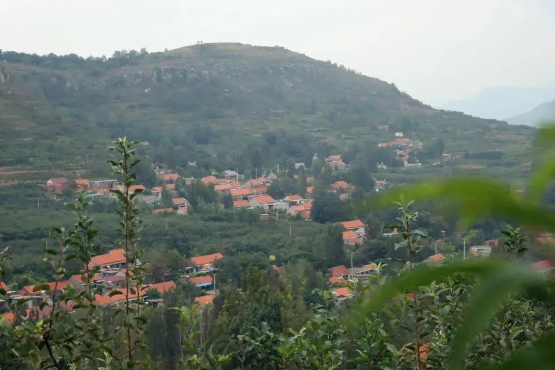 东营富硒水果采摘价格(东营采摘苹果的地方)-硒宝网