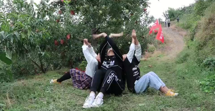 东营富硒水果采摘价格(东营采摘苹果的地方)-硒宝网