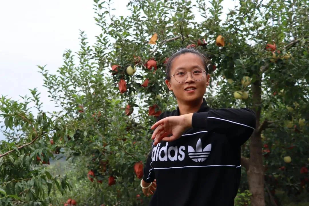 东营富硒水果采摘价格(东营采摘苹果的地方)-硒宝网