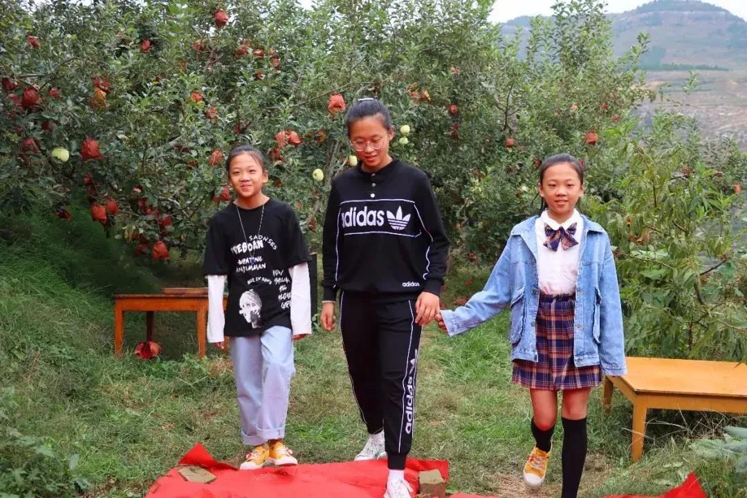 东营富硒水果采摘价格(东营采摘苹果的地方)-硒宝网