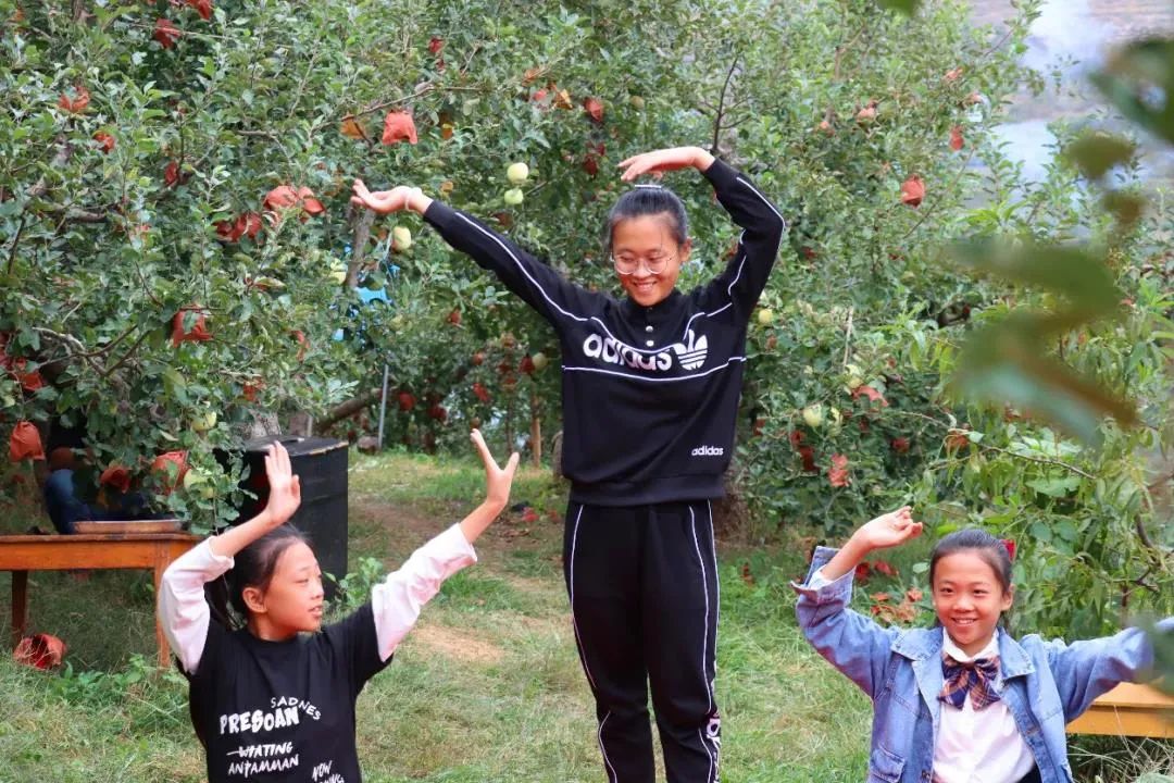 东营富硒水果采摘价格(东营采摘苹果的地方)-硒宝网