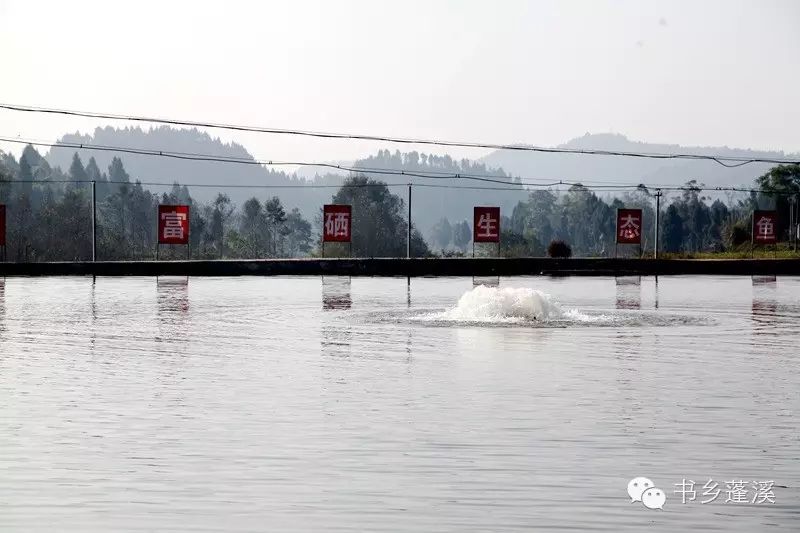 遂宁富硒水果种植基地(遂宁水果种植基地地址)-硒宝网