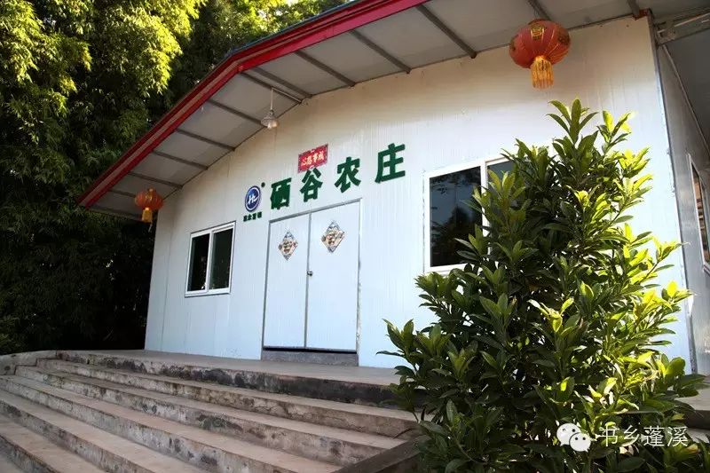 遂宁富硒水果种植基地(遂宁水果种植基地地址)-硒宝网