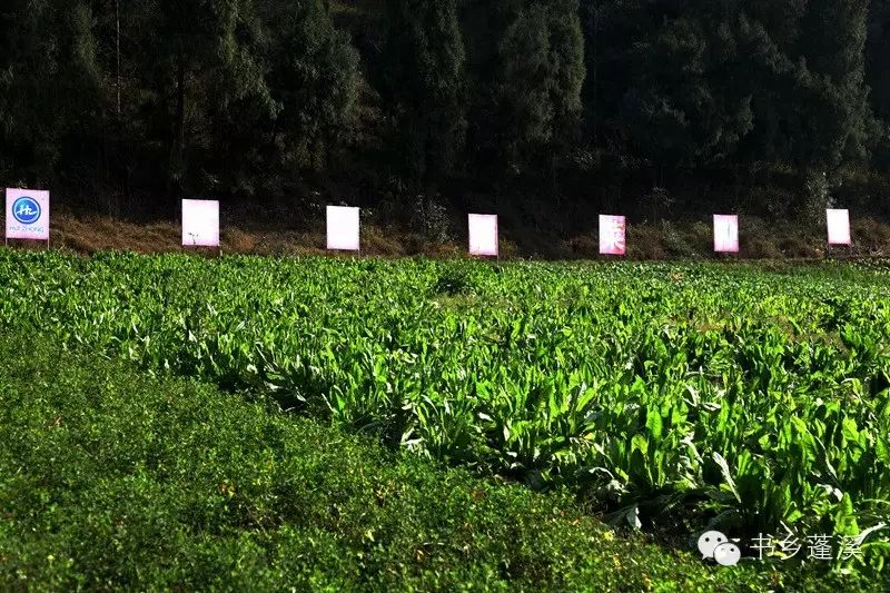 遂宁富硒水果种植基地(遂宁水果种植基地地址)-硒宝网