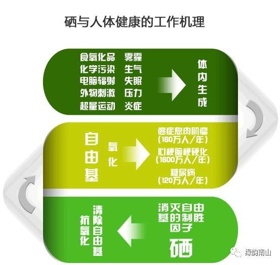 临淄富硒水果采摘活动(淄博富硒生态园)-硒宝网
