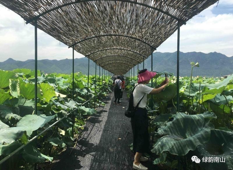 临淄富硒水果采摘活动(淄博富硒生态园)-硒宝网