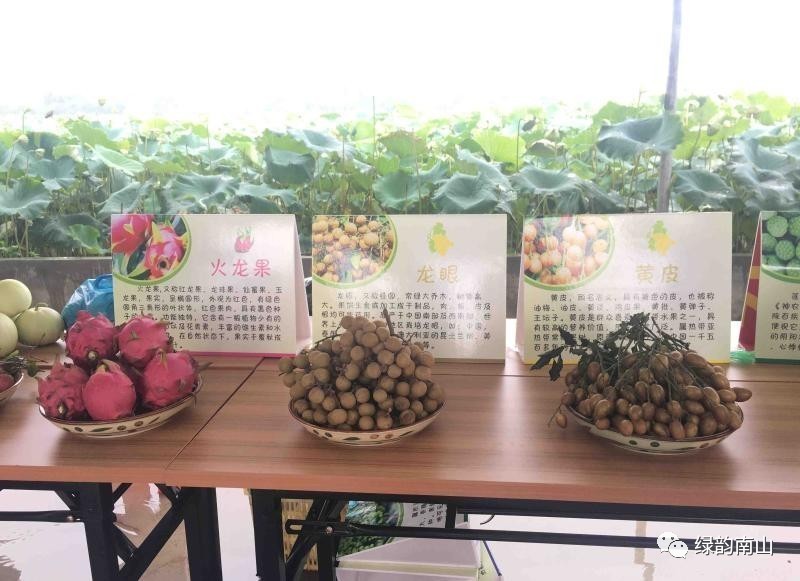 临淄富硒水果采摘活动(淄博富硒生态园)-硒宝网