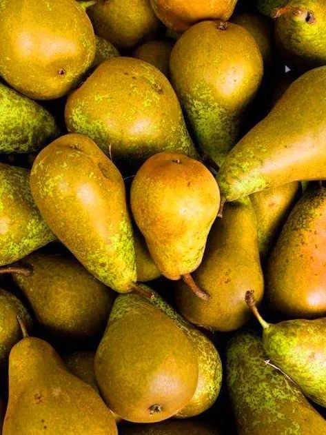 滨州富硒水果苗木销售(滨州果树苗基地)-硒宝网