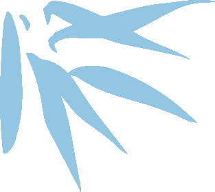 成人补锌（成人补锌每天补多少量）-硒宝网