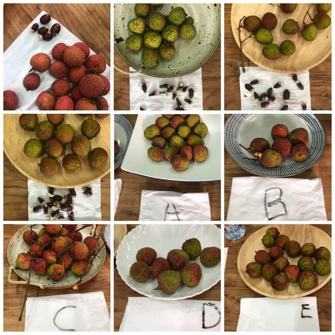 富硒水果哪里买的最好(富硒水果的国家标准是多少)-硒宝网